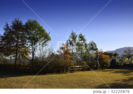 The Lawn The Lawn 32220876