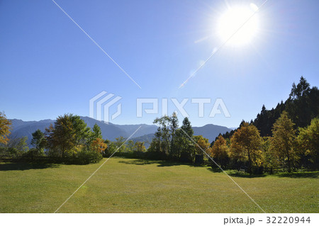 The Lawn The Lawn 32220944