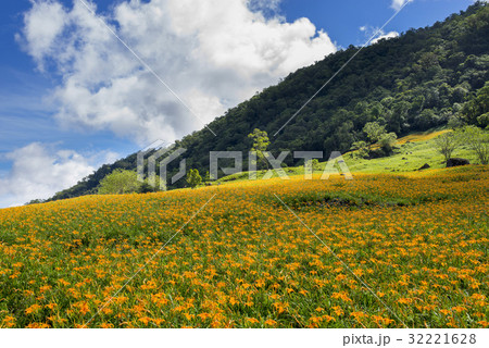 East of Taiwan 32221628