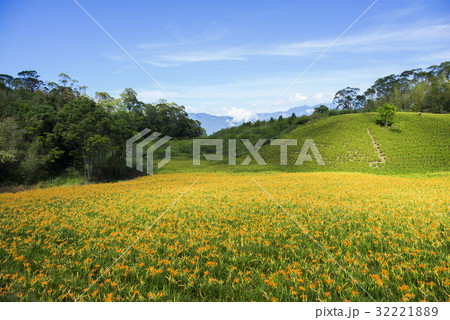 Beautiful Scenery 32221889