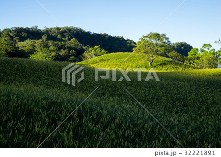Beautiful Scenery 32221891