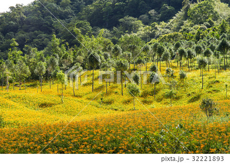 Beautiful Scenery 32221893