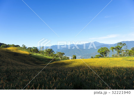 Beautiful Scenery 32221940