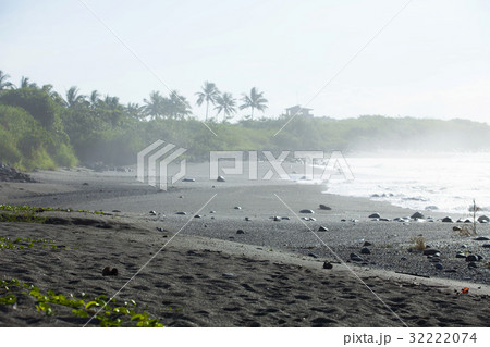 Beautiful Scenery 32222074