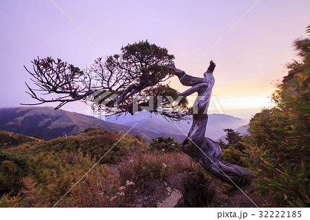 Mountain Peak 32222185