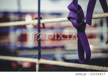 Karate purple belt hang off the rope 32226817