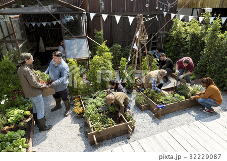 Group of people gardening backyard together 32229087