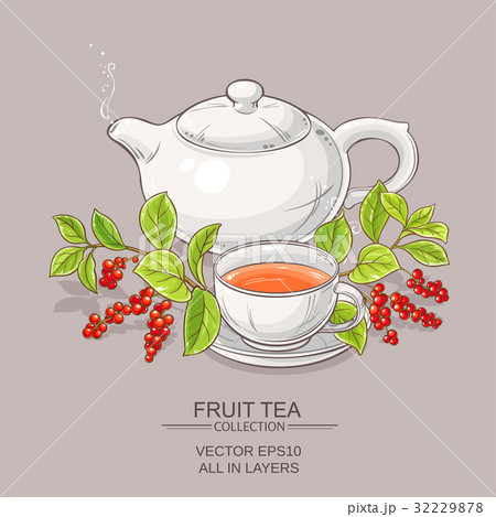 cup of schisandra tea and teapot 32229878