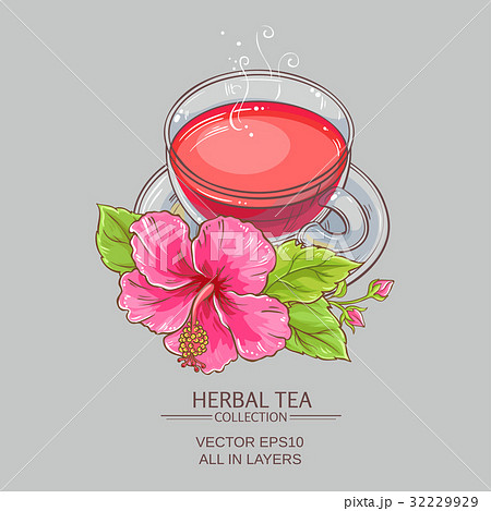 cup of hibiscus tea cup of hibiscus tea 32229929