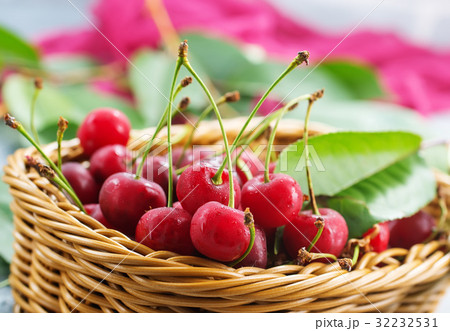 cherry cherry 32232531