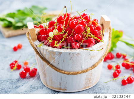red currant 32232547