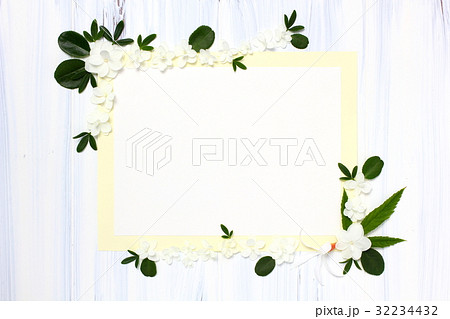 白木の白花と緑 32234432