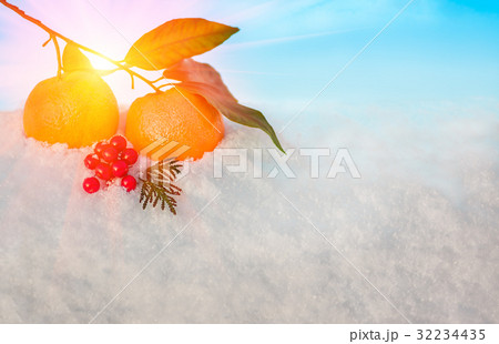Christmas fruit in snow against the blue sky 32234435