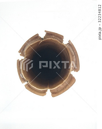 ハーバリウム 32234812