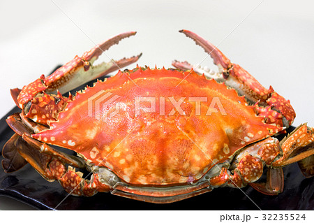 渡蟹 32235524