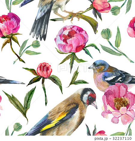 Wildflower peony flower pattern in a watercolor Wildflower peony flower pattern in a watercolor 32237110