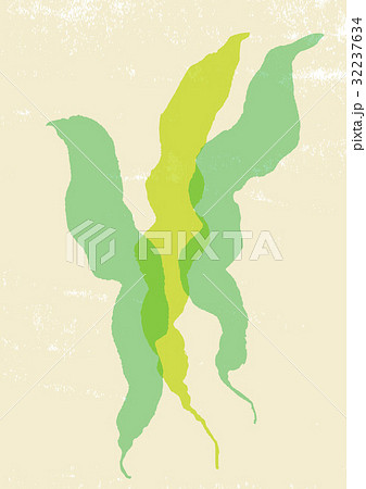 こんぶ 昆布 水彩画のイラスト素材