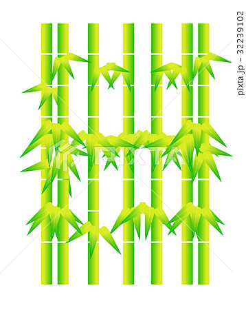 竹やぶ 32239102