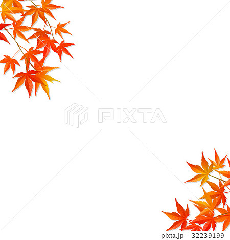 紅葉 もみじ 楓 秋のイラスト素材