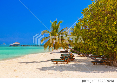 Loungers on Maldives beach 32239648