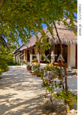 Lobby on Maldives island Lobby on Maldives island 32239661