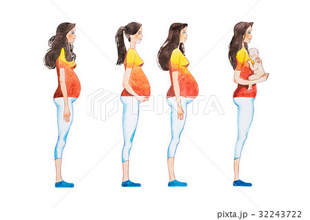 Cartoon illustration of pregnancy stages. Side 32243722