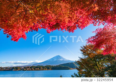紅葉・富士山 32245954