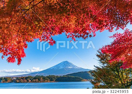紅葉・富士山 32245955