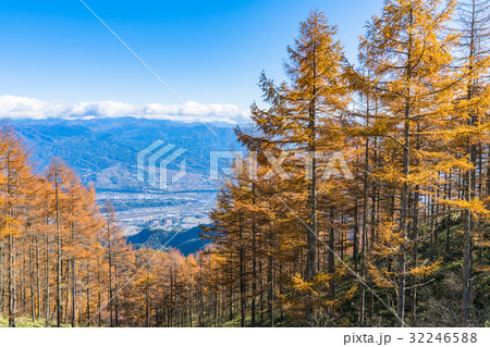 《山梨県》甘利山・秋の自然風景 32246588