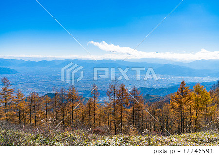 《山梨県》甘利山・秋の自然風景 32246591