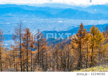 《山梨県》甘利山・秋の自然風景 32246592