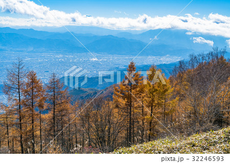 《山梨県》甘利山・秋の自然風景 32246593