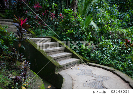 Old stone stairs in the jungle rainforest 32248032