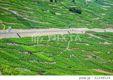 the swiss alpine town of martigny surrounded the swiss alpine town of martigny surrounded 32248524