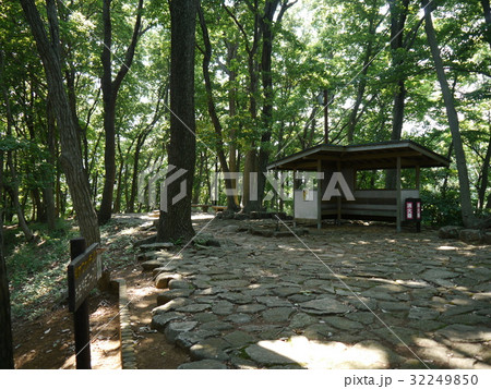 七沢森林公園 32249850