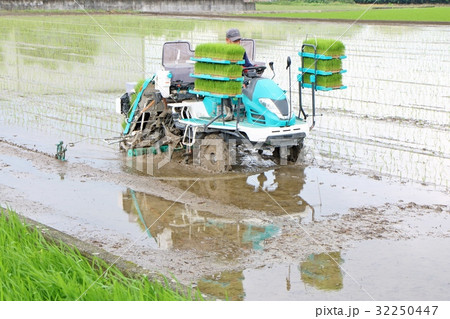 田植え機　水田中央 32250447