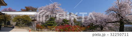 姫路城「世界文化遺産」「国宝」と桜（三国堀）/別名：白鷺城/平成百景/日本の桜名所100選/日本10 32250711