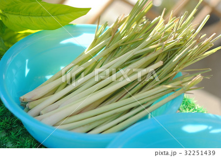 Lemongrass in blue plastic container Lemongrass in blue plastic container 32251439