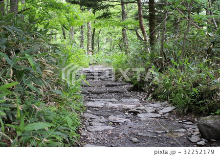 上高地のトレッキングルート 32252179