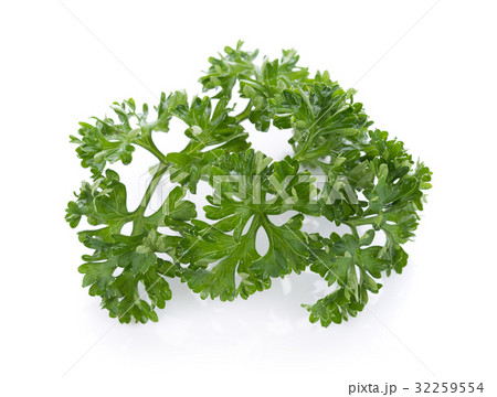 parsley isolated on a white background 32259554