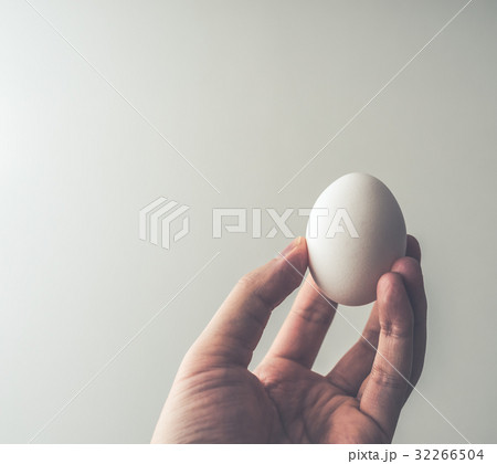 エッグ 32266504