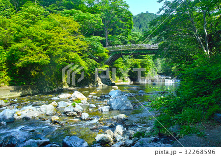 京都清滝の青モミジと金鈴橋 32268596