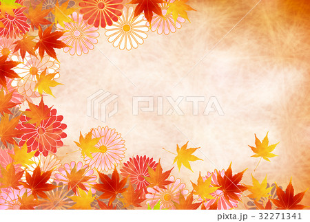 紅葉 秋 菊 背景 のイラスト素材
