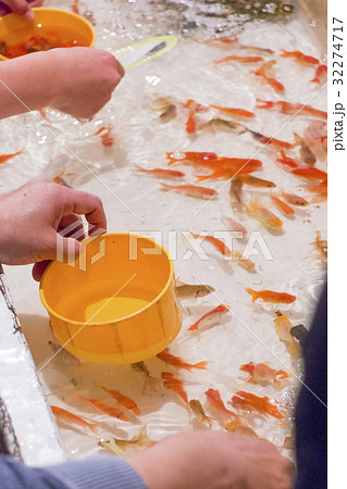 夏祭りの屋台 金魚すくいの写真素材