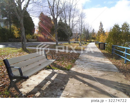 冬の公園 32274722