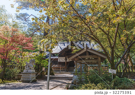 春日山城址　春日山神社の春景色 32275391