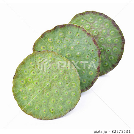 Lotus seeds on white background Lotus seeds on white background 32275531
