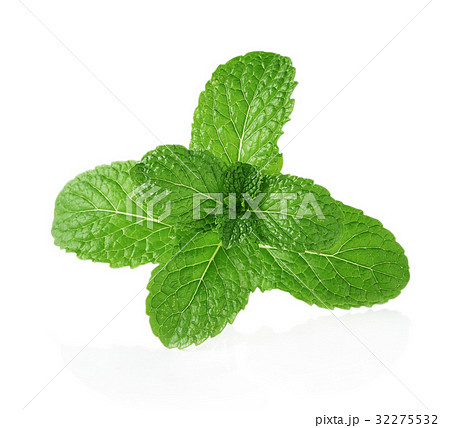 Mint leaves isolated on white background 32275532