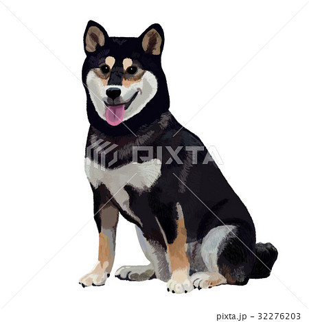 戌 犬 黒柴 黒柴犬 おすわり 笑顔のイラスト素材 32276203 Pixta