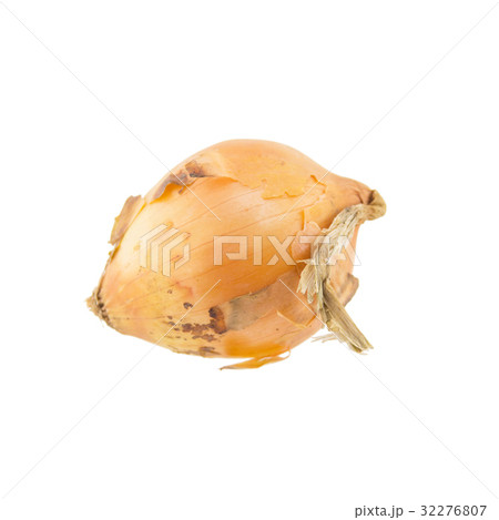 Onion isolated on white background Onion isolated on white background 32276807